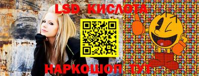 спайс Гагарин