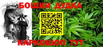 спайс Гагарин