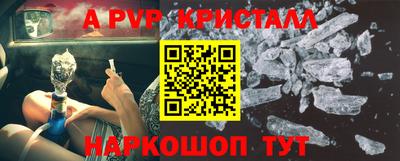 спайс Гагарин