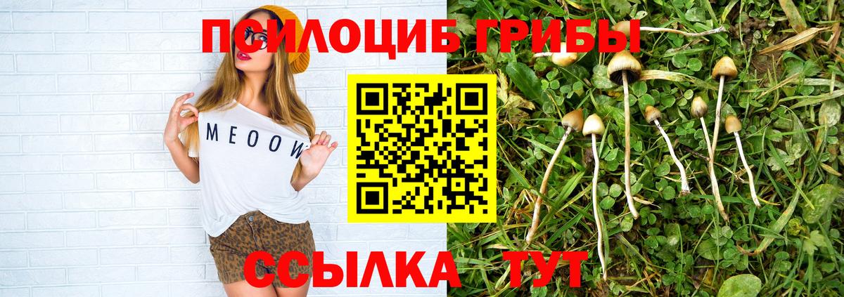 купить   Галлюциногенные грибы мухоморы  Вход с VPN  Мичуринск 