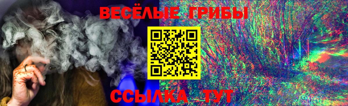 Псилоцибиновые грибы мухоморы Мичуринск